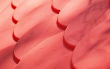 Twenty plastic roof costs