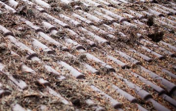 Twenty roof cleaning companies