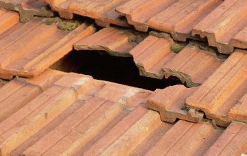roof repair Twenty, Lincolnshire