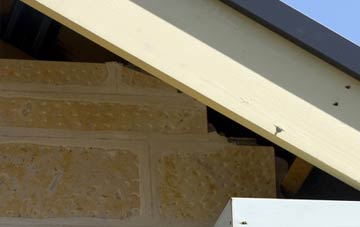 soffit repair Twenty