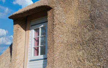 Twenty thatch roof disadvantages