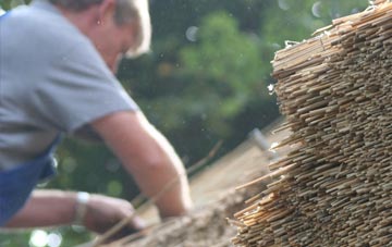 professional Twenty thatchers